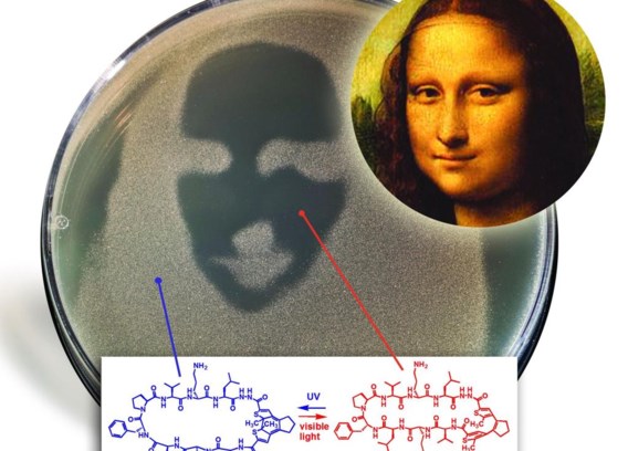 In het schaaltje prijkt ‘Mona Lisa’ in negatief.