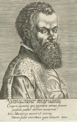 Andreas Vesalius.