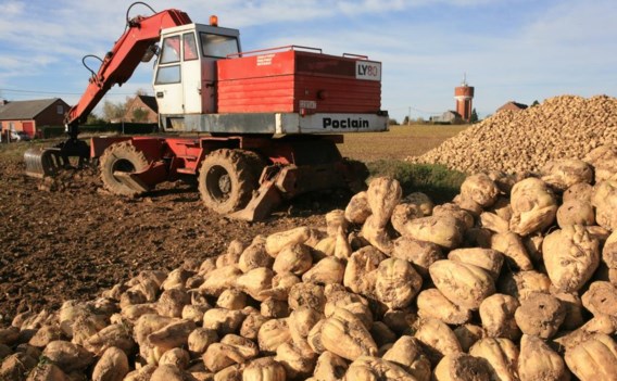 De productie van suikerbieten werd jarenlang gesubsidieerd.