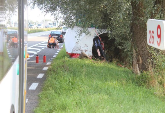 Een 82-jarige chauffeur kwam op 29 augustus 2013 op de N41 om het leven toen zijn auto werd gegrepen door een lijnbus.