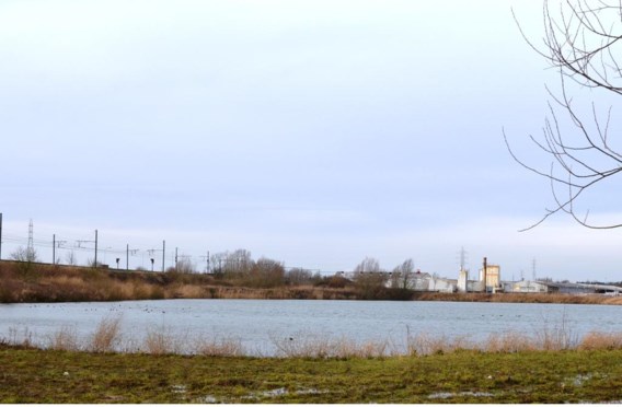 Waterwegen en Zeekanaal wil 725.000 kubieke meter baggerslib in deze vijver in Nederename storten.