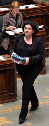 Het ontwerp van minister Turtelboom heeft het gehaald.