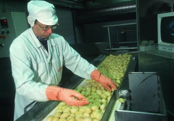 België verwerkt minder aardappelen