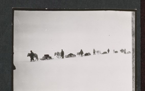 Zeven mannen begeleiden hun pony over het ijs van Antarctica. Er waren 17 dieren mee, maar nog voor de eigenlijk expeditie begon stierf bijna de helft. Drie pony’s bevonden zich op zeeijs dat afbrokkelde en afdreef.