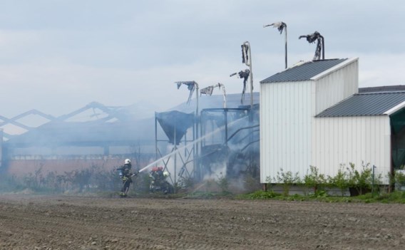 De brand was te hevig om het gebouw nog te betreden. De brandweer kon dus alleen van buitenaf blussen.