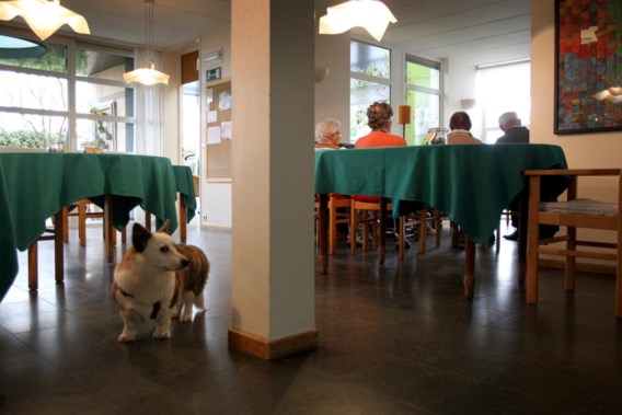 In Huis Perrekes acht de directie het essentieel dat alle bewoners de kans hebben om in het woonzorgcentrum zelf te sterven, niet in een kil ziekenhuis.
