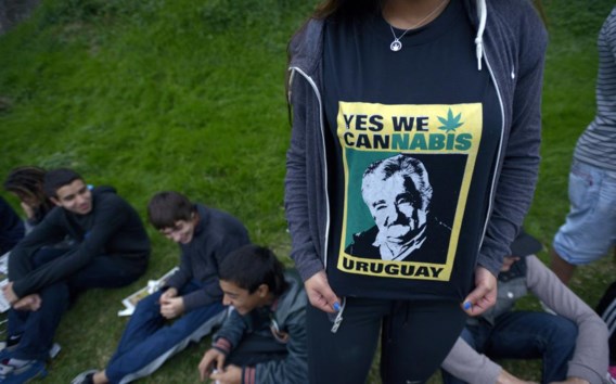Uruguay gaat met zijn wietwet veel verder dan Nederland met zijn gedoogbeleid.