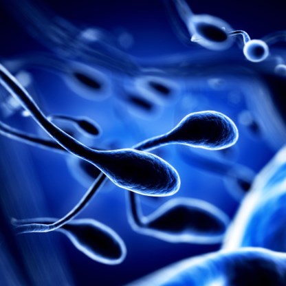 ‘Tandpasta en zeep schadelijk voor sperma’ 