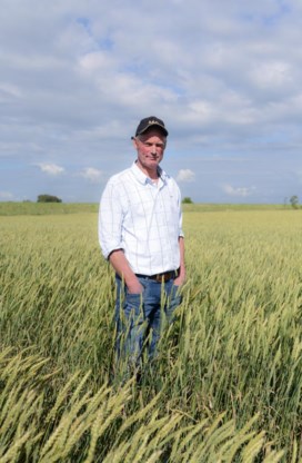 Kees Steendijk uit Zeeland maakt van biotarwe goud.