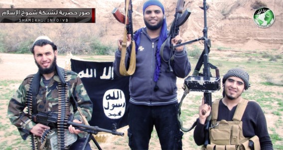 Reynders: ‘Sinds video onthoofding blijft aantal jihadi’s stijgen’
