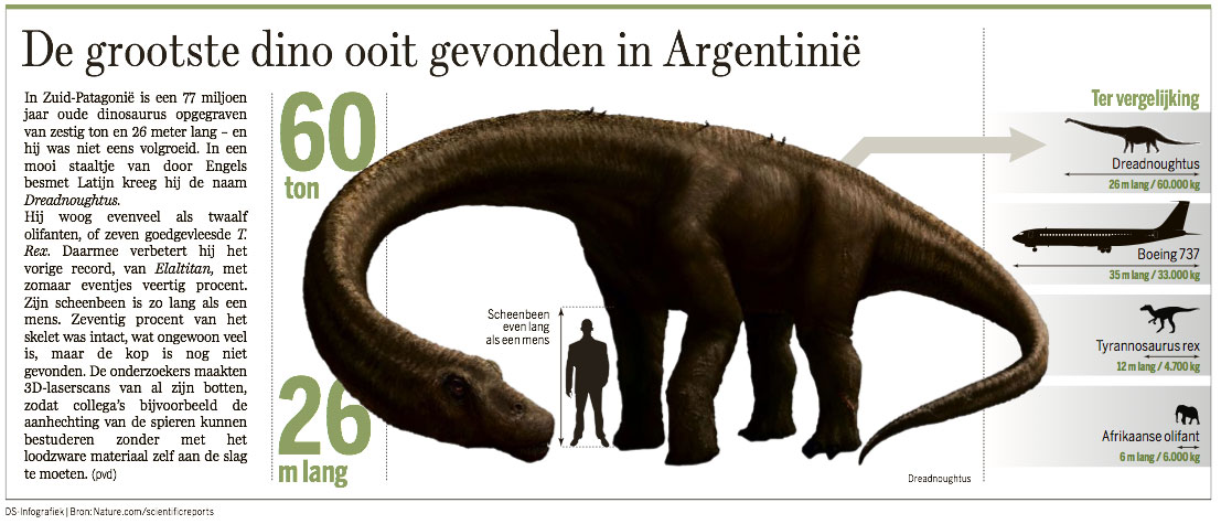 De grootste dino | De Standaard
