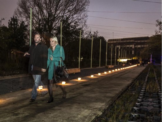 Planten naast de weg leveren elektriciteit voor de lampjes.