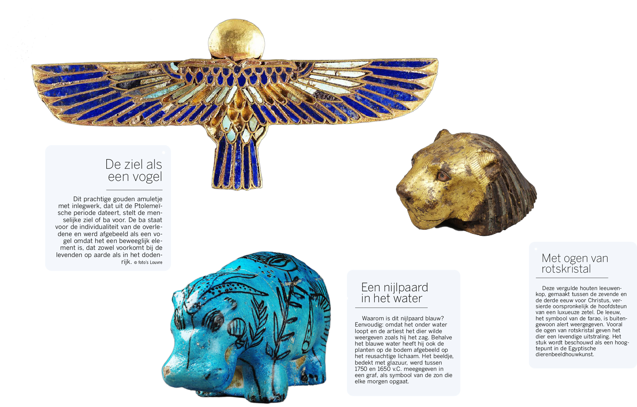 Deze Dieren Waren Heilig In Het Oude Egypte