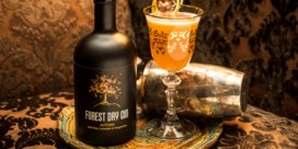 Forest Dry Gin, een nieuwe en uitzonderlijke Belgische gin