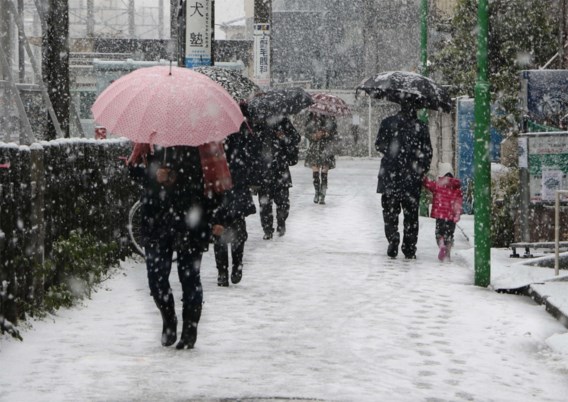 Sneeuwstorm teistert noorden van Japan