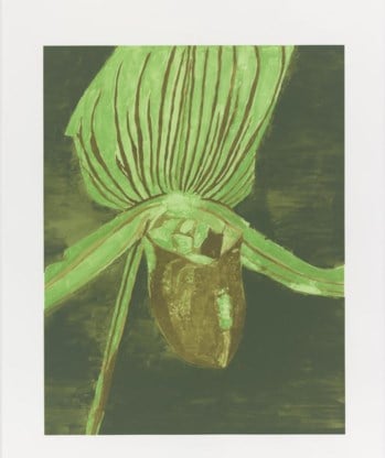 ‘Orchid’, 2013, zeefdruk.