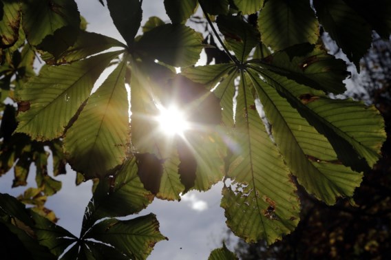 Droog en zonnig intermezzo