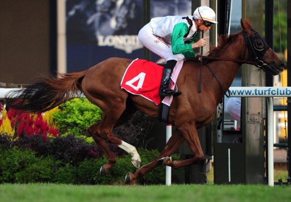 Christophe Soumillon wint prestigieuze wedren in Singapore