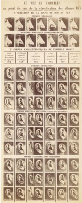 Alphonse Bertillon, classificatiesysteem voor neuzen en oren van gedetineerden.