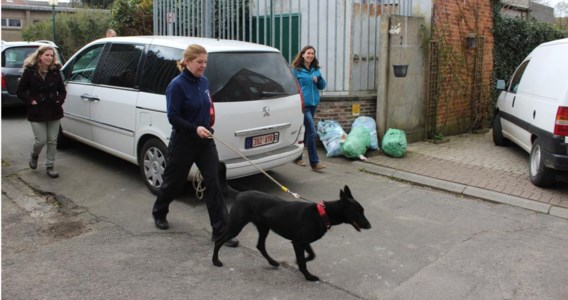 De politie met de honden op weg naar de school. Daar controleerden ze tachtig leerlingen uit twaalf klassen.