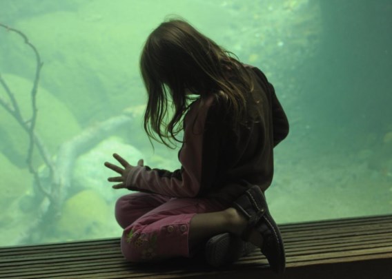 Het aquarium: een geordend universum dat fascineert en geruststelt.