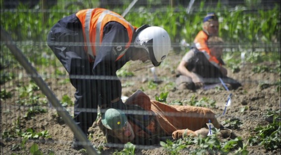 De ‘bevrijders’ van het Wetterse proefveld rukten vooral niet-ggo vergelijkingsaardappelen uit, waardoor de proef toch gered bleef.