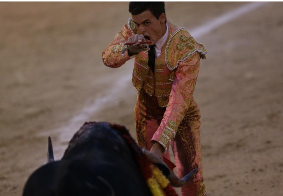 Ondanks de tanende belangstelling en het groeiende verzet vinden er in Spanje nog elk jaar 2.000 stierengevechten plaats. 