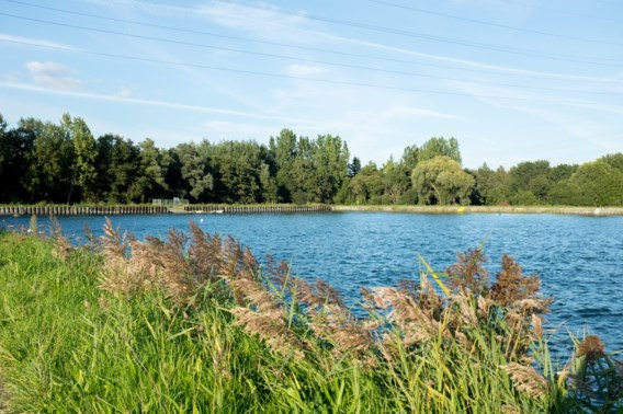 Links: in Ranst moet langs het Albertkanaal natuur wijken voor een industriegebied. Rechts: op de Wijngaardberg in Wezemaal zou 70 ha natuurgebied opgeofferd worden voor fruitteelt.