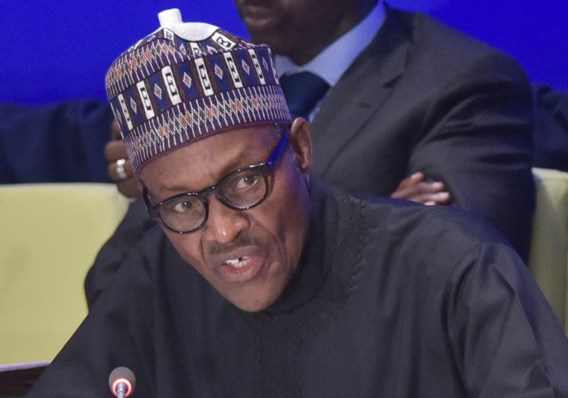 Nigeriaanse president wordt ook minister van Olie 