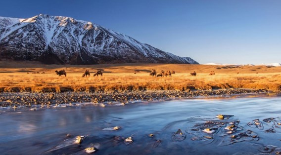 Een zonsopgang in Mongolië. Dit is een van de foto’s van Stefan Cruysberghs die werden geselecteerd.