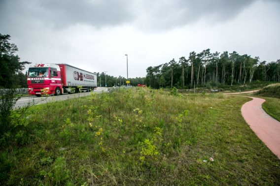 Dit bos wordt gerooid voor de uitbreiding van het bedrijf Essers.