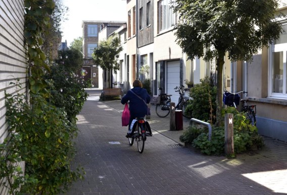 De Woeringenstraat in Berchem wordt een van de tuinstraten.