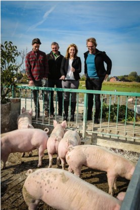 De leerlingen bezochten producenten.