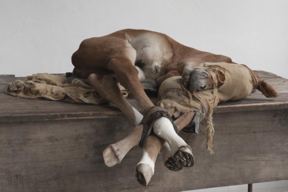 Berlinde De Bruyckere, ‘To Francisco de Zurbarán’ (2015).