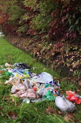 Sluikstorten is erg toegenomen.