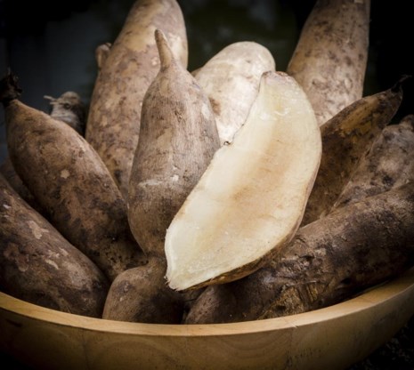 Een yacon ziet eruit als een lange aardappel, maar is ook rauw te eten.