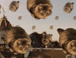 Filmpje met katten promoot Brussel: ‘Comment chat va à Bruxelles’
