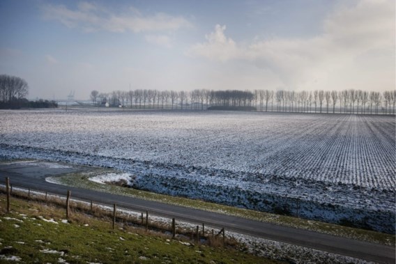 Eigenaar Hedwigepolder wil er vijfduizend vluchtelingen opvangen