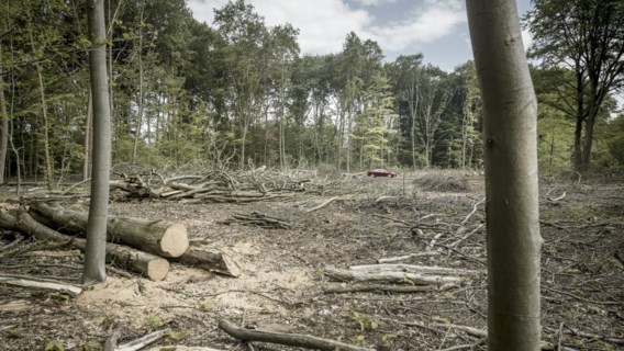 Natuur en Bos kapte dit voorjaar ook in Heverlee. Met boze buurtbewoners als gevolg.