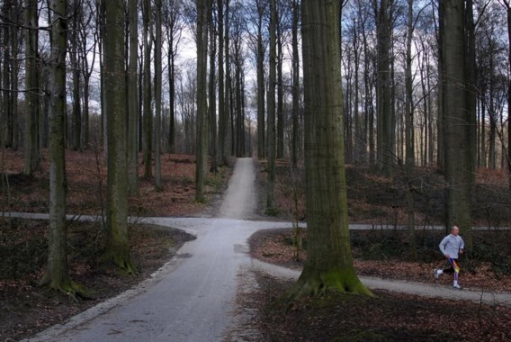 Het Zoniënwoud. In plaats van één bos en één agentschap kwamen er drie bossen, drie beheersplannen, drie administraties