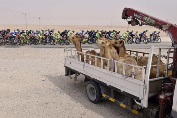 Onthoofde Ronde van Qatar zoekt opvolger voor Niki Terpstra