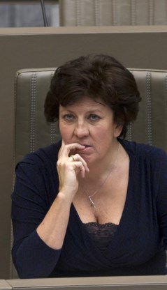 <p>Ingrid Lieten in 2014 als minister van Media.<span class="credit">belga</span></p>