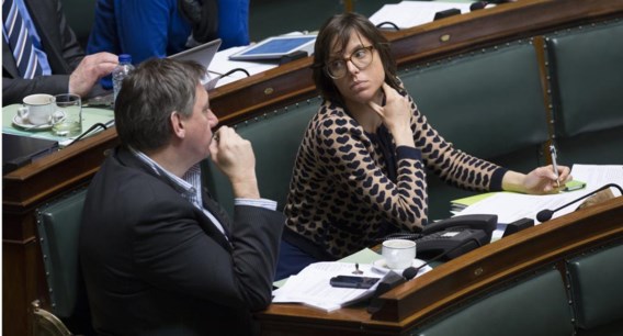 Sarah Smeyers verklaarde in een interview dat De Wever haar als geschikte penningmeester zag. Maar dat was buiten de partijraad gerekend.