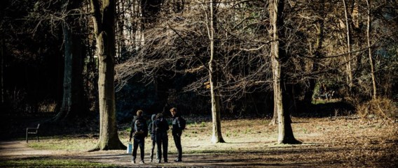 Samen met een begeleider van Natuurpunt voeren leerlingen van De Kolibrie in Domein Hertoghe (Antwerpen) klusjes uit.