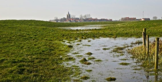 Poldergraslanden tussen Brugge en Oostende.