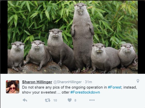 #Forestlockdown: weer beesten op Twitter bij antiterreuractie