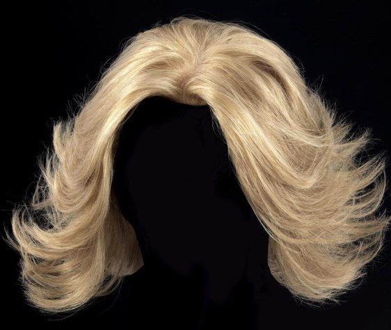 Slechthorend fee Sta op Nee, blondjes zijn niet dom | De Standaard Mobile