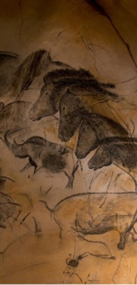 Replica van een grottekening in de Chauvet-grot.