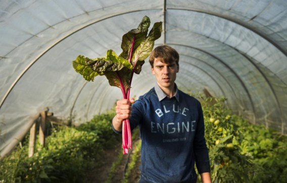 ’Buurderijen, waarbij mensen producten kopen van boeren uit de buurt, zijn een fascinerend initiatief.’