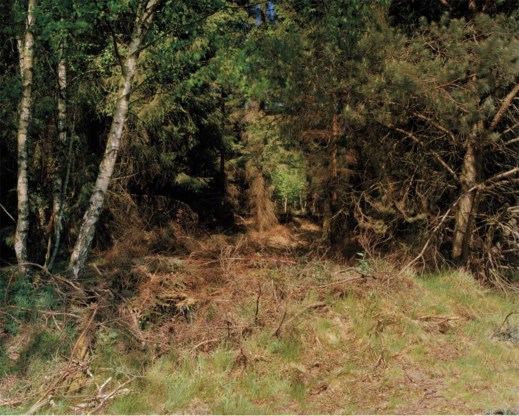 De sluipschutter op de foto niet gevonden? Hij zit in het droge gras, een tikje links van het midden.